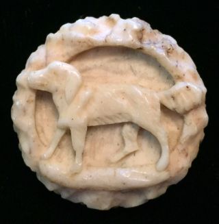 Gorgeous Antique 19th C Carved Deer Bone / Antler Button With Dog photo