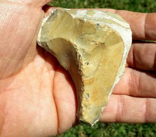 Gorgeous 1 Acheulean Nosed Hand Tool Neolithic Paleolithic photo
