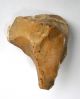 Gorgeous 1 Acheulean Nosed Hand Tool Neolithic Paleolithic Neolithic & Paleolithic photo 1