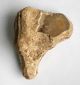 Gorgeous 1 Acheulean Nosed Hand Tool Neolithic Paleolithic Neolithic & Paleolithic photo 3