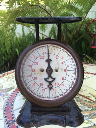 Vintage Antique Counter - Top Scale (24 Lbs. ) Capacity C.  1920 ' S photo