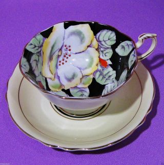 Dw Paragon Black And Yellow Tea Cup And Saucer Hand Painted Magnolia Beauty photo