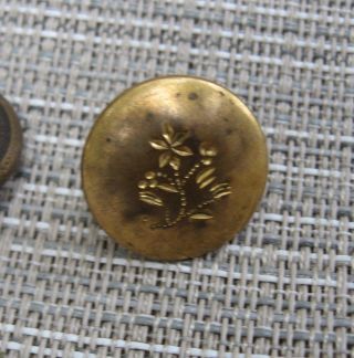 Antique 1830 ' S Leavenworth & Co Superfine Gold/brass? Button (etched Flowers) photo