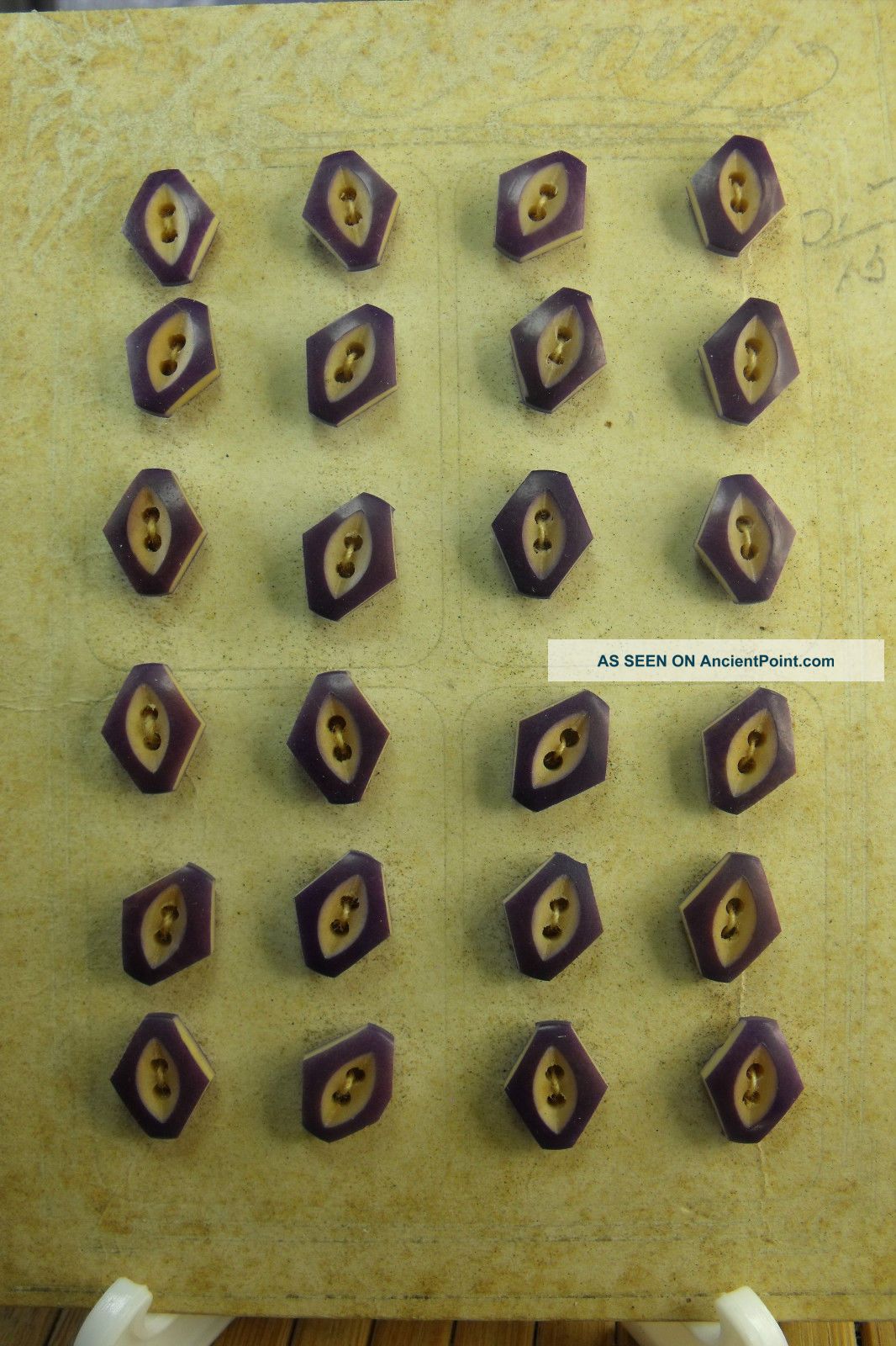 24 Lovely Victorian Vegetable Ivory Buttons On Card - Estate Buttons photo