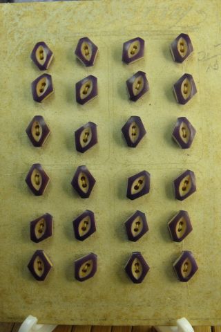 24 Lovely Victorian Vegetable Ivory Buttons On Card - Estate photo