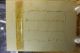 24 Lovely Victorian Vegetable Ivory Buttons On Card - Estate Buttons photo 3
