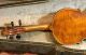 A Very Fine Old Violin Labeled Franciscus Gofriller. String photo 9
