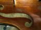 A Very Fine Old Violin Labeled Franciscus Gofriller. String photo 2
