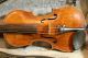 A Very Fine Old Violin Labeled Franciscus Gofriller. String photo 3