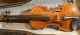 A Very Fine Old Violin Labeled Franciscus Gofriller. String photo 7