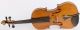 Very Old Italian Violin L.  Bisiach 1896 Geige Violon Violino Violine 小提琴 バイオリン String photo 1