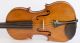 Very Old Italian Violin L.  Bisiach 1896 Geige Violon Violino Violine 小提琴 バイオリン String photo 2
