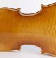 Very Old Italian Violin L.  Bisiach 1896 Geige Violon Violino Violine 小提琴 バイオリン String photo 6