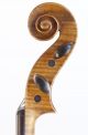 Very Old Italian Violin L.  Bisiach 1896 Geige Violon Violino Violine 小提琴 バイオリン String photo 7