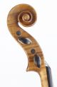 Very Old Italian Violin L.  Bisiach 1896 Geige Violon Violino Violine 小提琴 バイオリン String photo 8