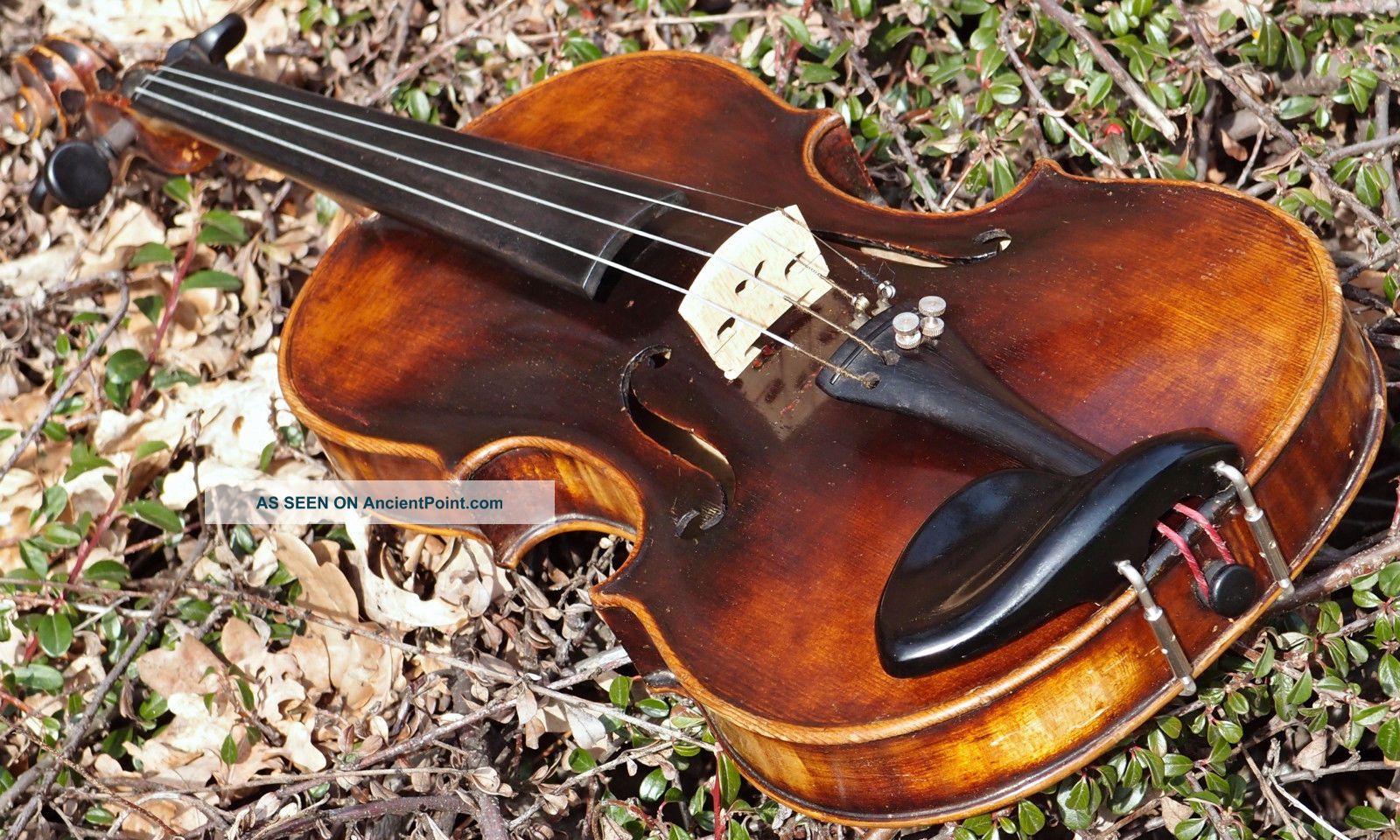 Vintage Czech Violin Label. Karel Pilar, Hradec K. Tone Mellow, Mature