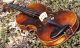 Vintage Czech Violin Label.  Karel Pilar,  Hradec K.  Tone - Mellow,  Mature String photo 6