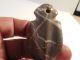 Nicoya Stone Ax Pendant Costa Rica Pre - Columbian Ancient Artifact Mayan Nr The Americas photo 8
