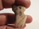 Nicoya Stone Bird Face Pendant Rare Style Pre - Columbian Ancient Artifact Mayan The Americas photo 10