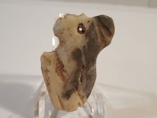 Nicoya Stone Bird Face Pendant Rare Style Pre - Columbian Ancient Artifact Mayan photo