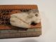 Nicoya Stone Bird Face Pendant Rare Style Pre - Columbian Ancient Artifact Mayan The Americas photo 7