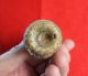 Ancient Roman Glass Jar Bottle Ribbed Fluted 2nd 3rd Century Ad Rome Roman photo 3