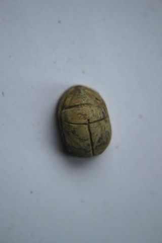 Ancient Egyptian Steatite Scarab 1450 Bc Thutmose 111 photo