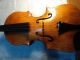 Two Old Violins,  With Bows And Cases String photo 1