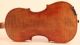 200 Years Old N.  Lupot 1799 Violin Geige Violon Violine Violino 小提琴 バイオリン 바이올린 String photo 9