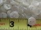 Mother - Of - Pearl Buttons 2 - Hole 350 Buttons photo 2