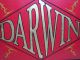 Antique 19th/20th C Painted Darwin Wooden Hanging Two - Sided Store Front Sign Yqz Primitives photo 10