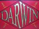 Antique 19th/20th C Painted Darwin Wooden Hanging Two - Sided Store Front Sign Yqz Primitives photo 1
