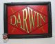 Antique 19th/20th C Painted Darwin Wooden Hanging Two - Sided Store Front Sign Yqz Primitives photo 2