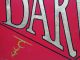 Antique 19th/20th C Painted Darwin Wooden Hanging Two - Sided Store Front Sign Yqz Primitives photo 6