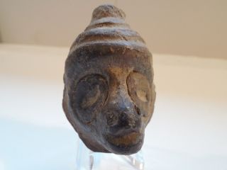 Taino Cemi Head Display Arawak Pre - Columbian Archaic Ancient Artifact Mayan Nr photo