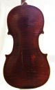 Antique Homolka? Violin String photo 1