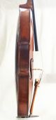Antique Homolka? Violin String photo 2
