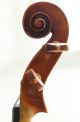 Antique Homolka? Violin String photo 4