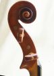 Antique Homolka? Violin String photo 5