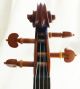 Antique Homolka? Violin String photo 6