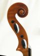 Interesting Antique French? Violin String photo 2