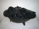 Antique Coal Bucket Scuttle Turtle Hod Cast Iron Enamel Hinged Black Victorian Hearth Ware photo 1