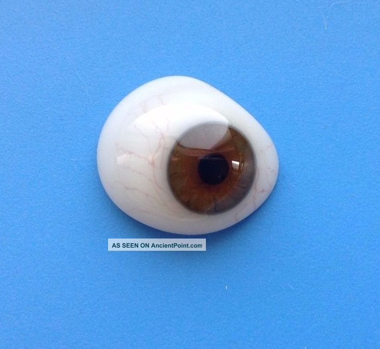 Vintage Antique Human Prosthetic Glass Eye Military Medical Optical photo