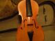 Andress Amati Fecit Violin Cremonae Anno 1617 Germany String photo 1