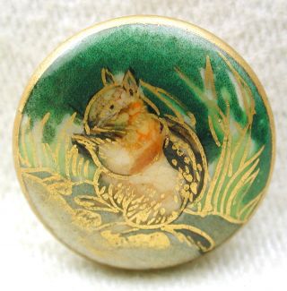 Vintage Satsuma Button Hand Painted Chipmunk Design W/ Gold Accents - 5/8 Inch photo