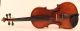 Old L.  Bisiach 1897 Violin Geige Violon Violine Violino 小提琴 バイオリン Italian 바이올린 String photo 1