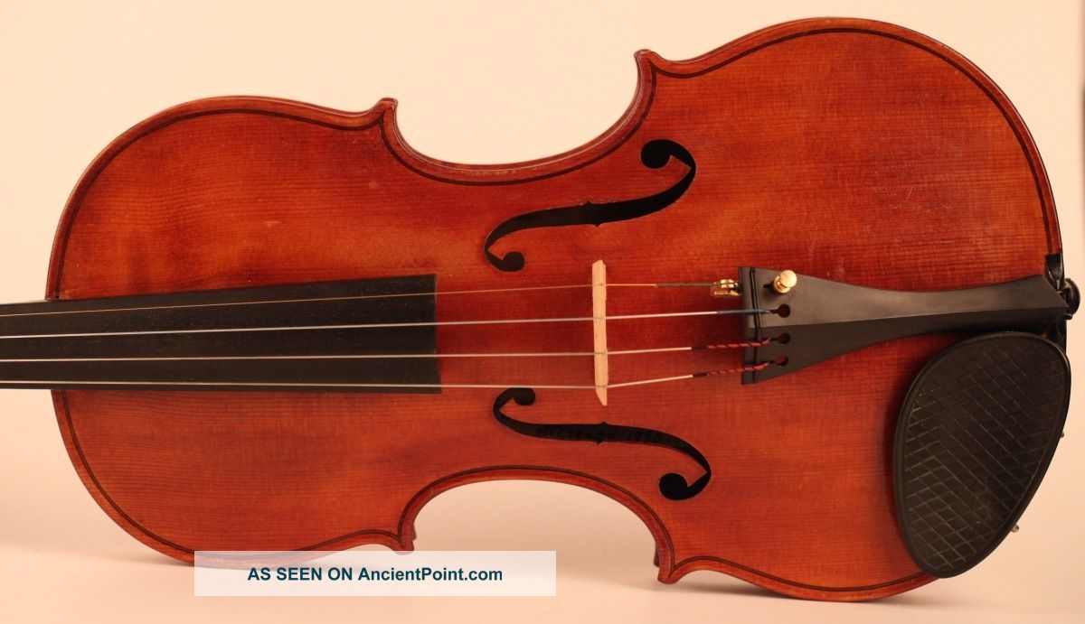Old Italian Violin By Oreste Paoli Violon Violine Violino Powerful Sound