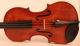 Old Italian Violin By Oreste Paoli Violon Violine Violino Powerful Sound String photo 1