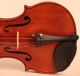 Old Italian Violin By Oreste Paoli Violon Violine Violino Powerful Sound String photo 2