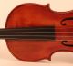 Old Italian Violin By Oreste Paoli Violon Violine Violino Powerful Sound String photo 3